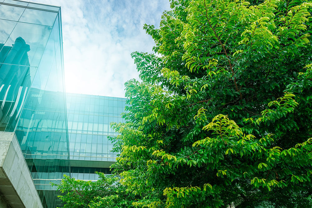 Office buildings and trees
